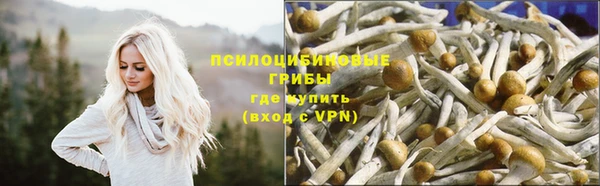 прущая мука Михайловск
